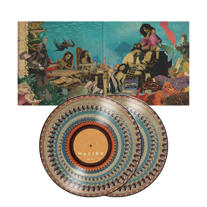 Anderson .Paak – Malibu (10th Anniversary Zoetrope 2LP)