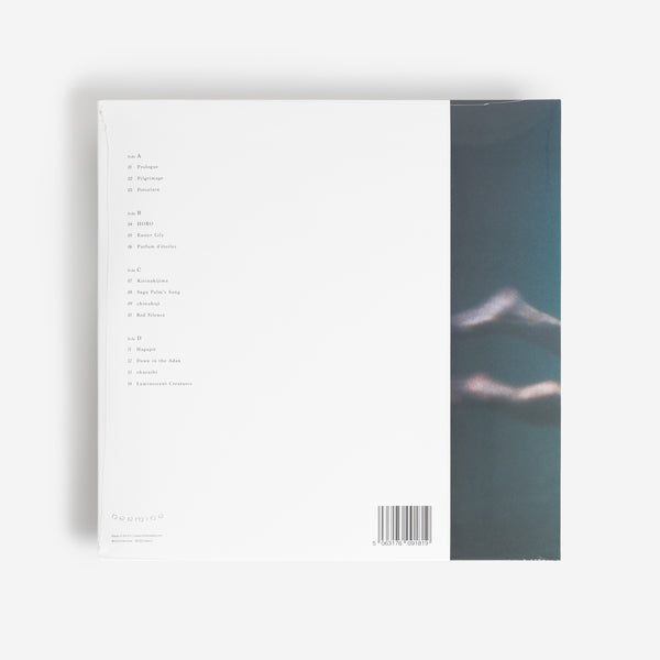 Ichiko Aoba – Windswept Adan (Black Eco-Mix 2LP)